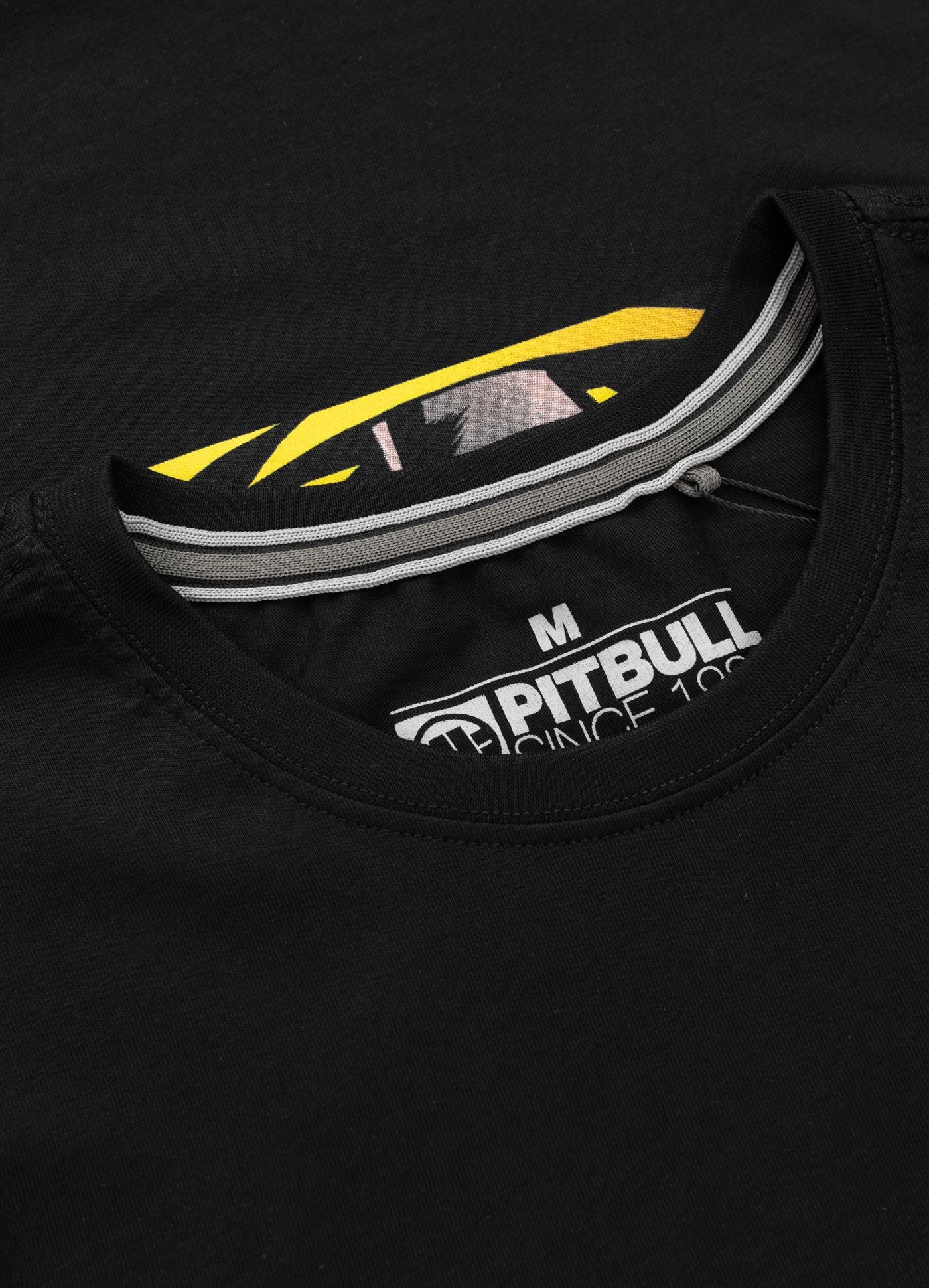 Masters of BJJ – 3