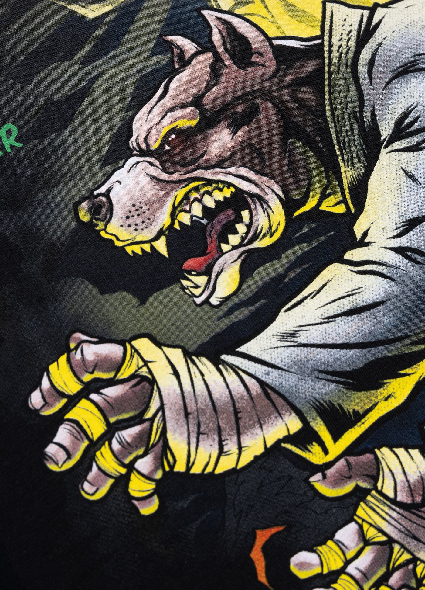 Masters of BJJ – 6