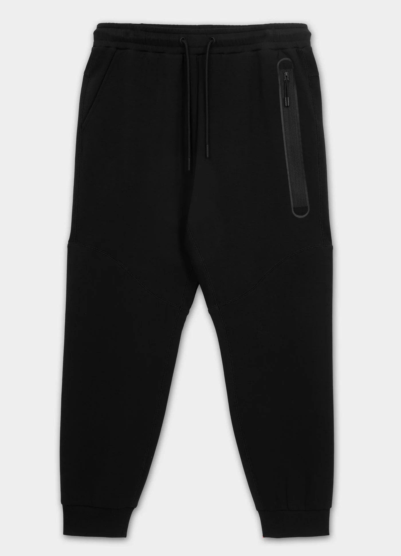 dog black 4