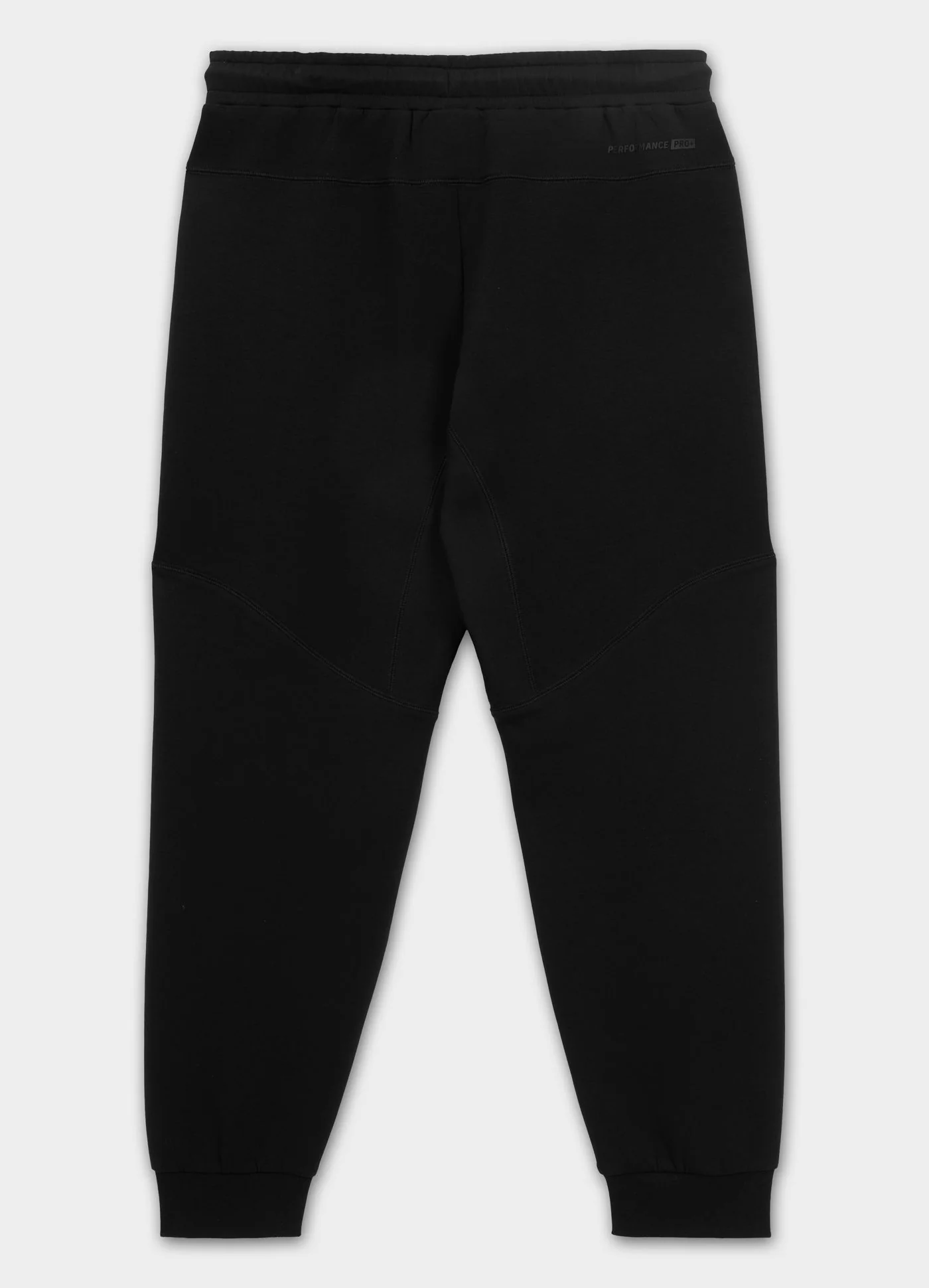 dog black 5