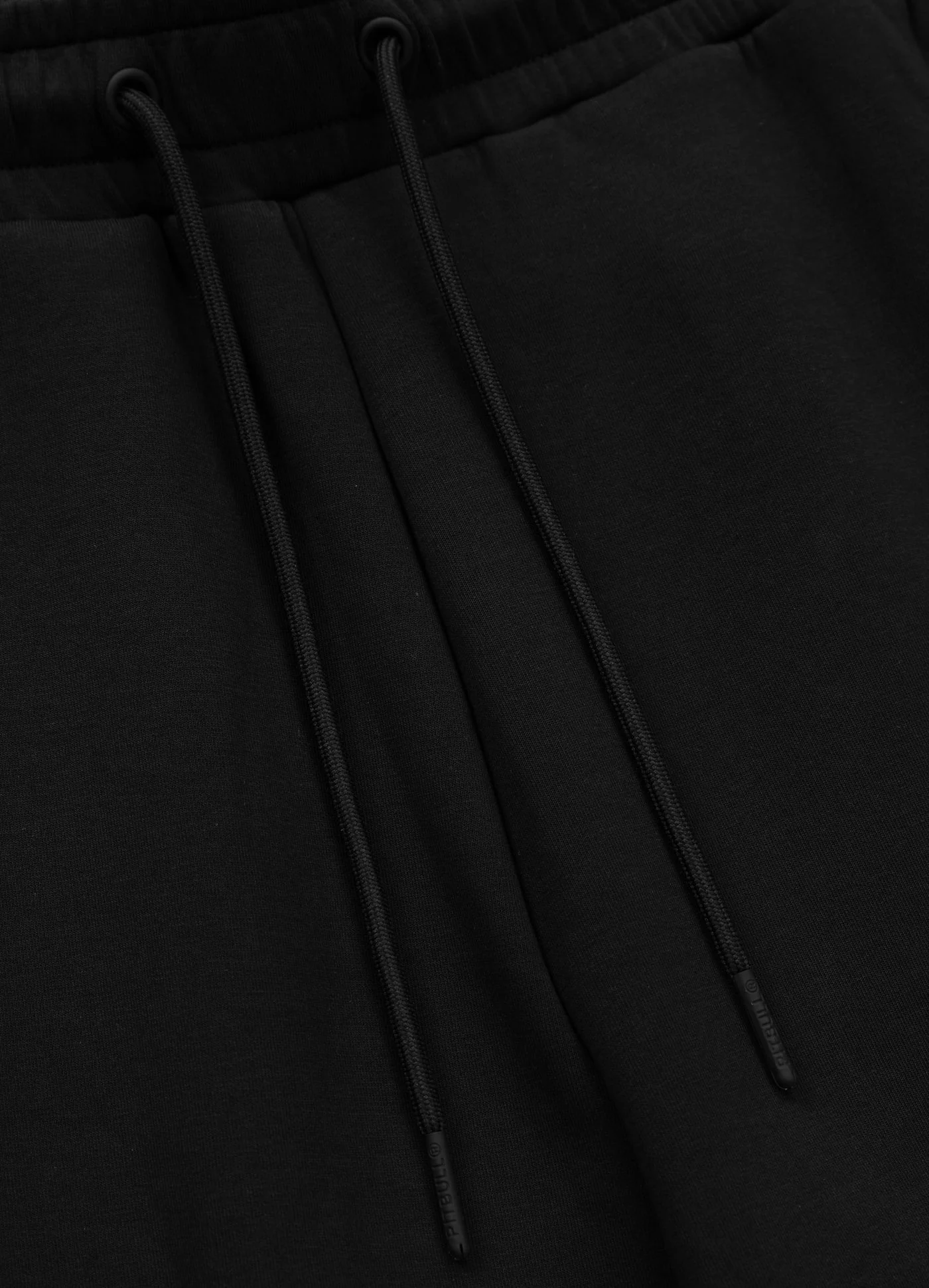 dog black 6